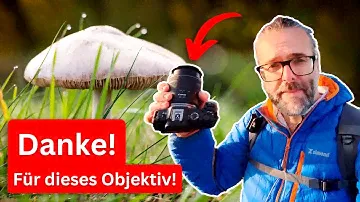 Canon RF28-70mm f/2.8 IS STM im Praxistest: Das Allround-Objektiv, das gefehlt hat!