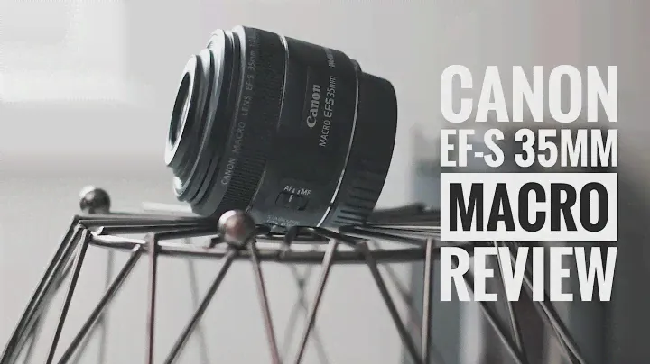 Объектив Canon EF-S 35mm f2.8 Macro IS STM - Обзор