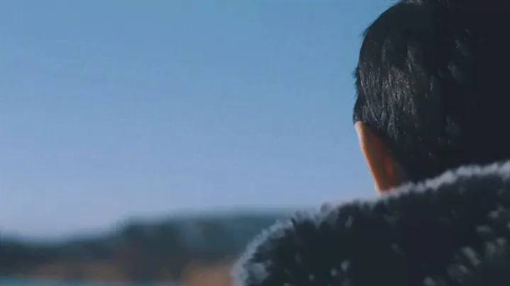 Canon 70D Cinematic Video 50mm 1.8 STM