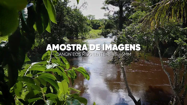 Amostra de imagem Câmera Canon EOS R100 + Lente RF-s 18-45mm