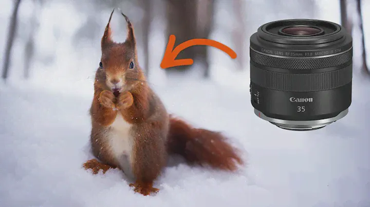 Canon RF 35mm f/1.8 - MUST-HAVE lens for nature photographers?