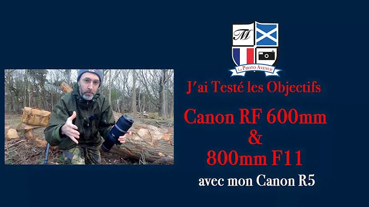 J'ai Testé les Objectifs Canon RF 600mm & 800mm F11 avec mon Canon R5