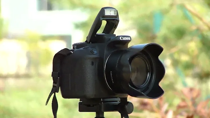 Canon 700d + 50 mm 1.8 STM (29/08/2022)