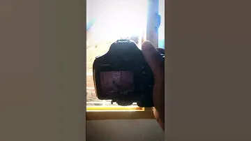 ZOOM TEST CANON 55-250MM LENS || #canonphotography #zoom