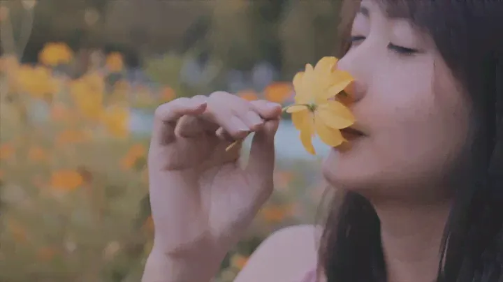 video test canon lens 50 mm f 1.8 with canon 70D & Dji osmo footage (all clip shot in 60 fps 1080p)