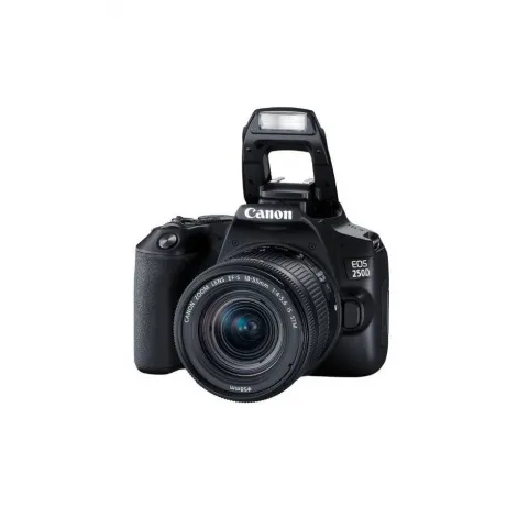 Зеркальный фотоаппарат Canon EOS 250D kit 18-55 IS STM Black
