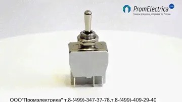 646H тумблер 10 Ампер ON ON 2 положения вкл. вкл.