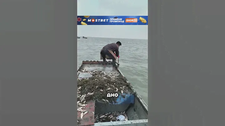 Самый поразительный инструмент для рыбалки 😮🔥🎣