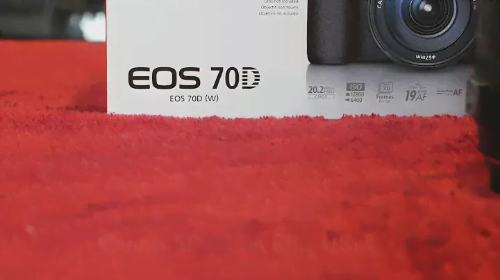 Canon EOS 70D Autofocus - Kit STM Lens vs 50mm f/1.4