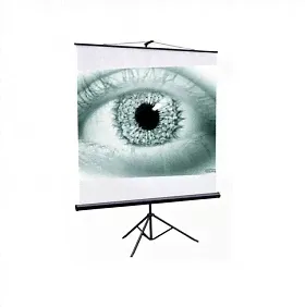 Экран проекционный ScreenMedia Apollo-T STM-1103, 200x200см, формат 1:1 (STM-1103)